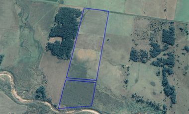 45 Has. Estación Yeruá, Entre Ríos