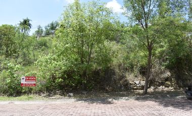 La noria: lote con ligera pendiente ascendente