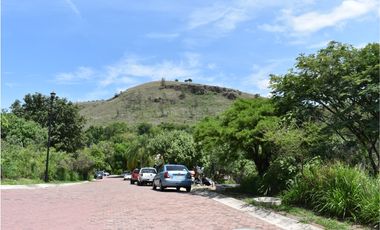 La noria: lote con ligera pendiente ascendente