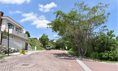 La noria: lote con ligera pendiente ascendente