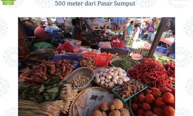Bagus Mewah,New The Savana, Free Biaya, Driyorejo | Br262 A