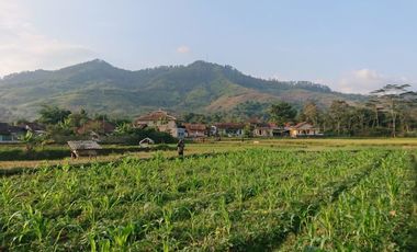 Tanah Cicalengka 60 Jutaan Bandung Timur SHM