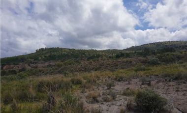 Hectáreas en venta Tlaxco negociables