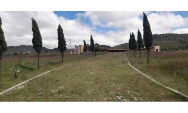 Hectáreas en venta Tlaxco negociables