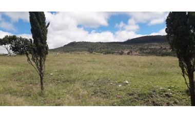 Hectáreas en venta Tlaxco negociables