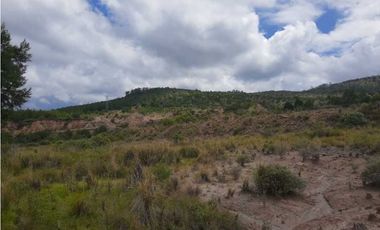 Hectáreas en venta Tlaxco negociables
