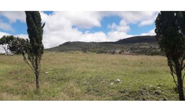 Hectáreas en venta Tlaxco negociables