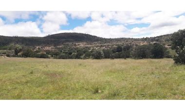 Hectáreas en venta Tlaxco negociables