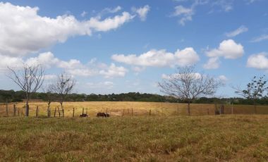 Vendo Finca en Pacora 4378JD