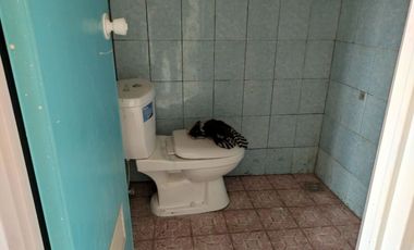 RUMAH BARU DI TEPI JALAN RAYA SECANG LAGI HARGA PROMO