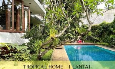 For Sale Beautiful Tropical Single Storey House at Cipete