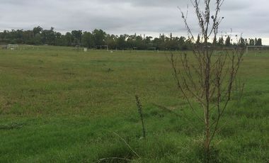 Lote de Terreno de 12 hectáreas - Excelente ubicación!!!!