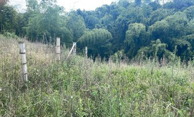 lote en venta en alamos. Cod V17056