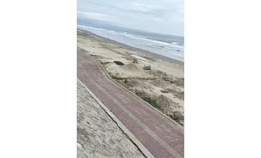 Se Vende Terreno Frente Al Mar 1era Línea San Jose