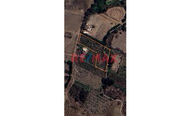 Vendo Terreno Agricola En Azpitia, Santa Cruz De Flores, Cañete