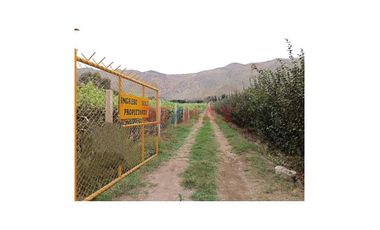 Vendo Terreno Agricola En Azpitia, Santa Cruz De Flores, Cañete