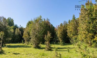 Agrícola en Venta en Campo de 20 Ha en sector Río Pescado, a 8,5km desde la ruta 225