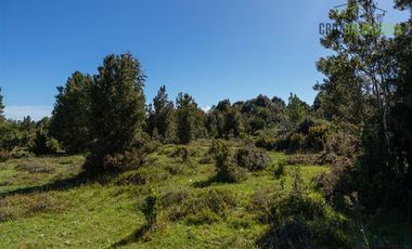 Agrícola en Venta en Campo de 20 Ha en sector Río Pescado, a 8,5km desde la ruta 225