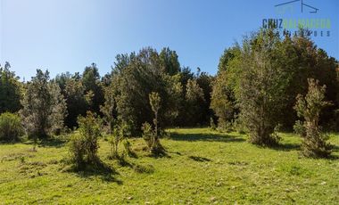 Agrícola en Venta en Campo de 20 Ha en sector Río Pescado, a 8,5km desde la ruta 225