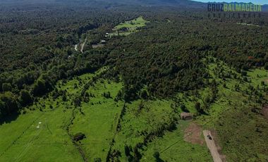 Agrícola en Venta en Campo de 20 Ha en sector Río Pescado, a 8,5km desde la ruta 225