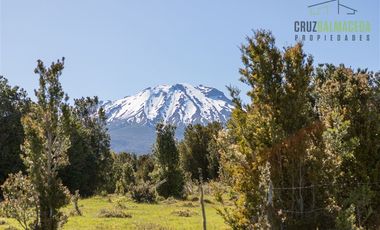 Agrícola en Venta en Campo de 20 Ha en sector Río Pescado, a 8,5km desde la ruta 225