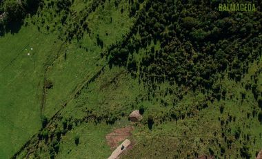 Agrícola en Venta en Campo de 20 Ha en sector Río Pescado, a 8,5km desde la ruta 225