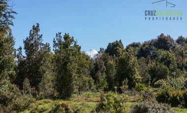 Agrícola en Venta en Campo de 20 Ha en sector Río Pescado, a 8,5km desde la ruta 225
