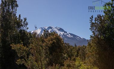 Agrícola en Venta en Campo de 20 Ha en sector Río Pescado, a 8,5km desde la ruta 225