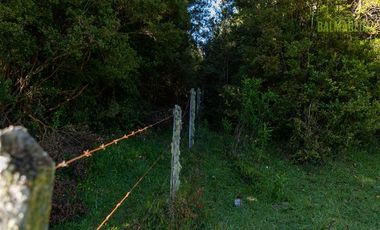 Agrícola en Venta en Campo de 20 Ha en sector Río Pescado, a 8,5km desde la ruta 225