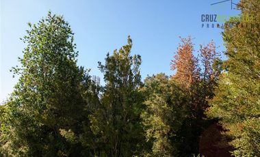 Agrícola en Venta en Campo de 20 Ha en sector Río Pescado, a 8,5km desde la ruta 225