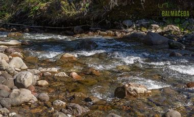 Agrícola en Venta en Campo de 20 Ha en sector Río Pescado, a 8,5km desde la ruta 225