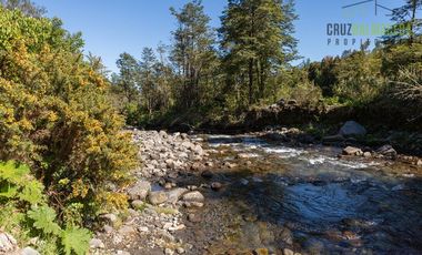Agrícola en Venta en Campo de 20 Ha en sector Río Pescado, a 8,5km desde la ruta 225
