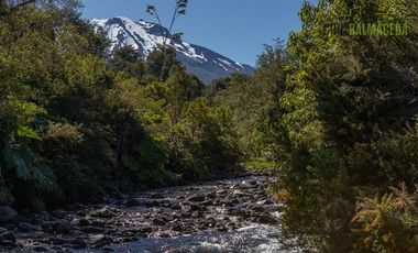 Agrícola en Venta en Campo de 20 Ha en sector Río Pescado, a 8,5km desde la ruta 225