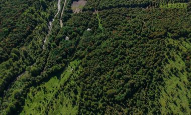 Agrícola en Venta en Campo de 20 Ha en sector Río Pescado, a 8,5km desde la ruta 225