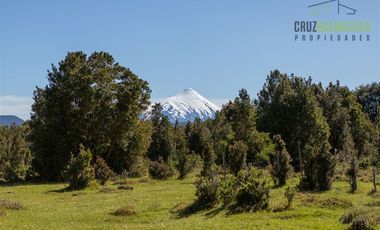Agrícola en Venta en Campo de 20 Ha en sector Río Pescado, a 8,5km desde la ruta 225