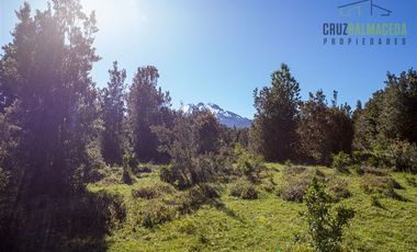 Agrícola en Venta en Campo de 20 Ha en sector Río Pescado, a 8,5km desde la ruta 225