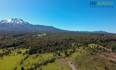 Agrícola en Venta en Campo de 20 Ha en sector Río Pescado, a 8,5km desde la ruta 225