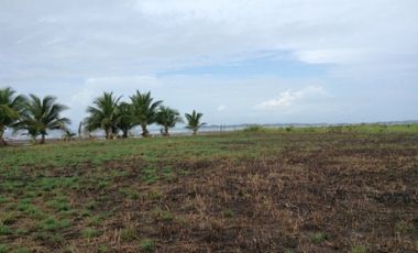 VENDO TERRENO EN BELLA VISTA PRÓXIMO A PLAYA EL NANZAL CHIRIQU