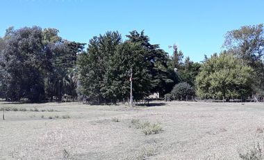 Campo - General Belgrano