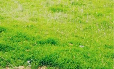 Terreno en venta, sector Huizhil Alto