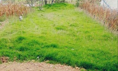 Terreno en venta, sector Huizhil Alto