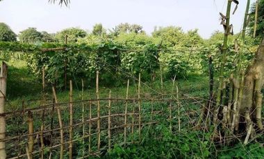 Agricultural Lot in Nueva Ecija