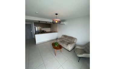 APARTAMENTO LINEA BLANCA PH GREENWOOD TUMBA MUERTO