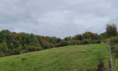 Venta Parcela Maullín