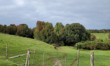 Venta Parcela Maullín