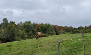 Venta Parcela Maullín