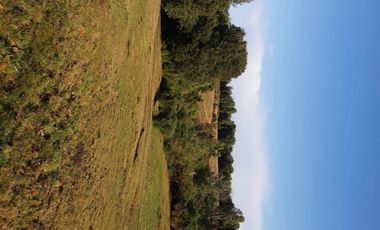 Venta Parcela Maullín