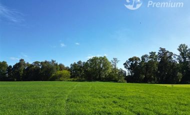 Parcela en venta en Purranque, región de los Lagos