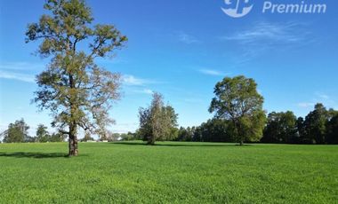 Parcela en venta en Purranque, región de los Lagos