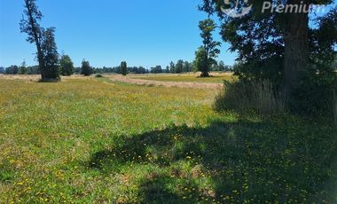 Parcela en venta en Purranque, región de los Lagos